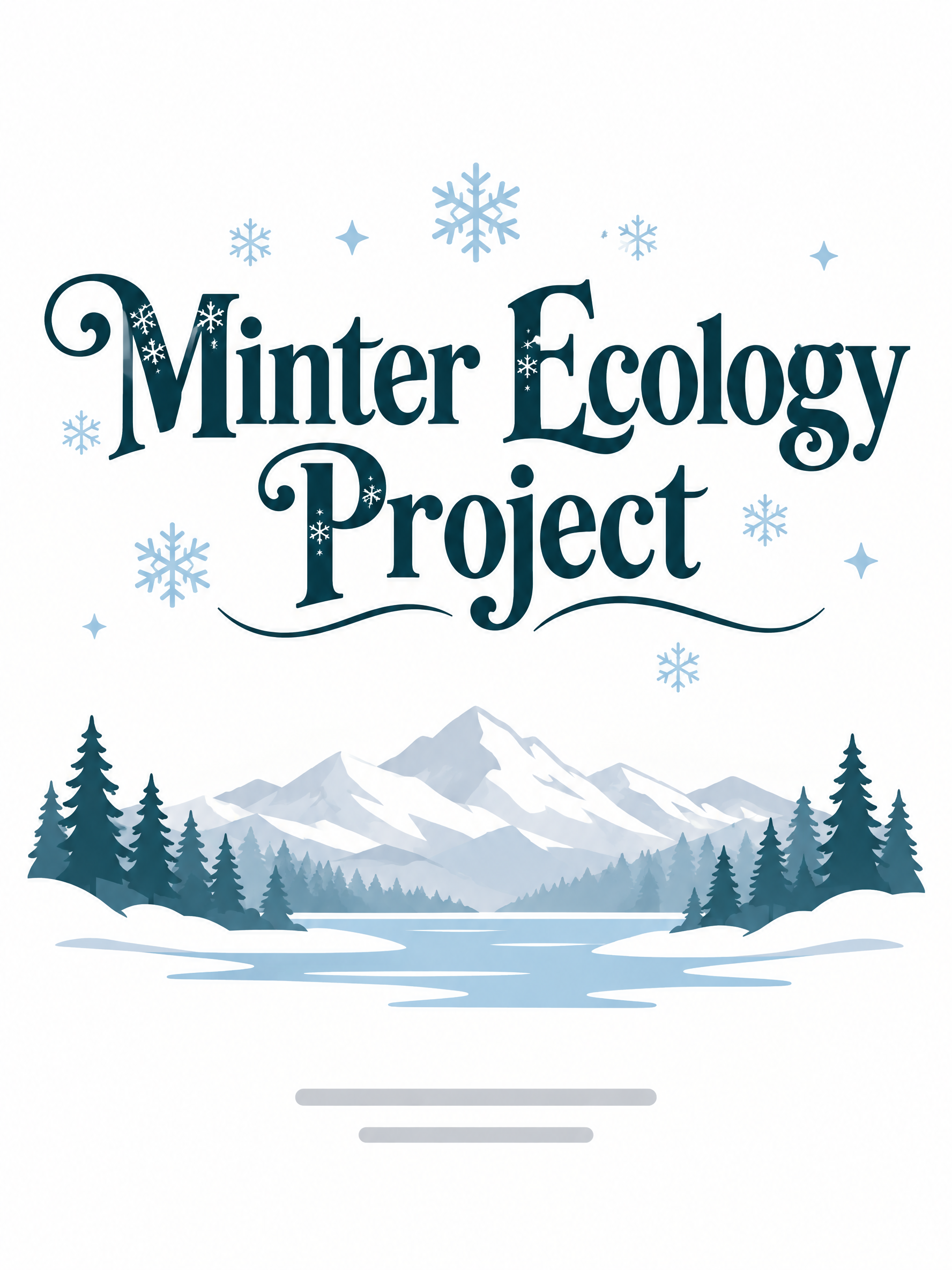 Clean project cover with bold decorative serif lettering and subtle snowflake motifs.