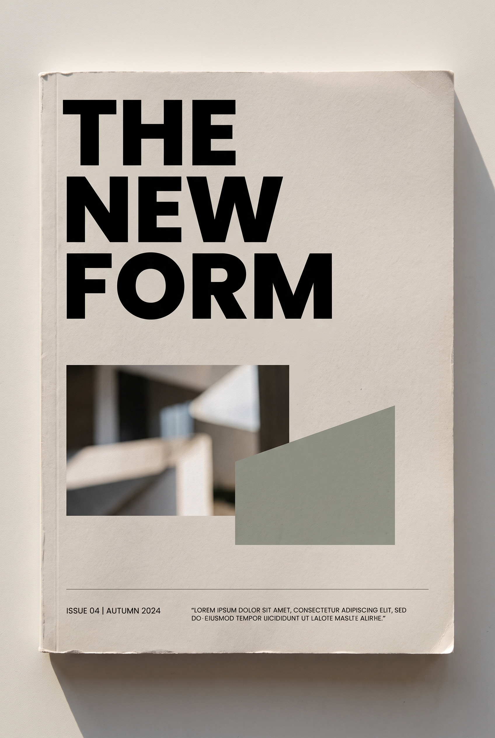 Poppins Extra Bold Font for Editorial Cover